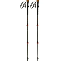 Bastoncini Carbon