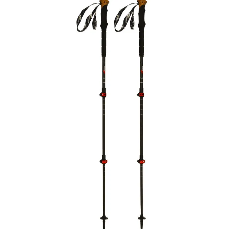 Bastoncini Carbon