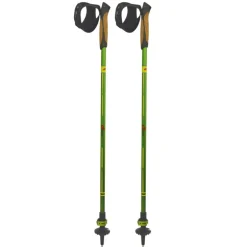 Bastoncini Nordic Walking Pro