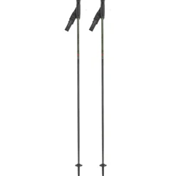 Bastoncini Piste Carbon