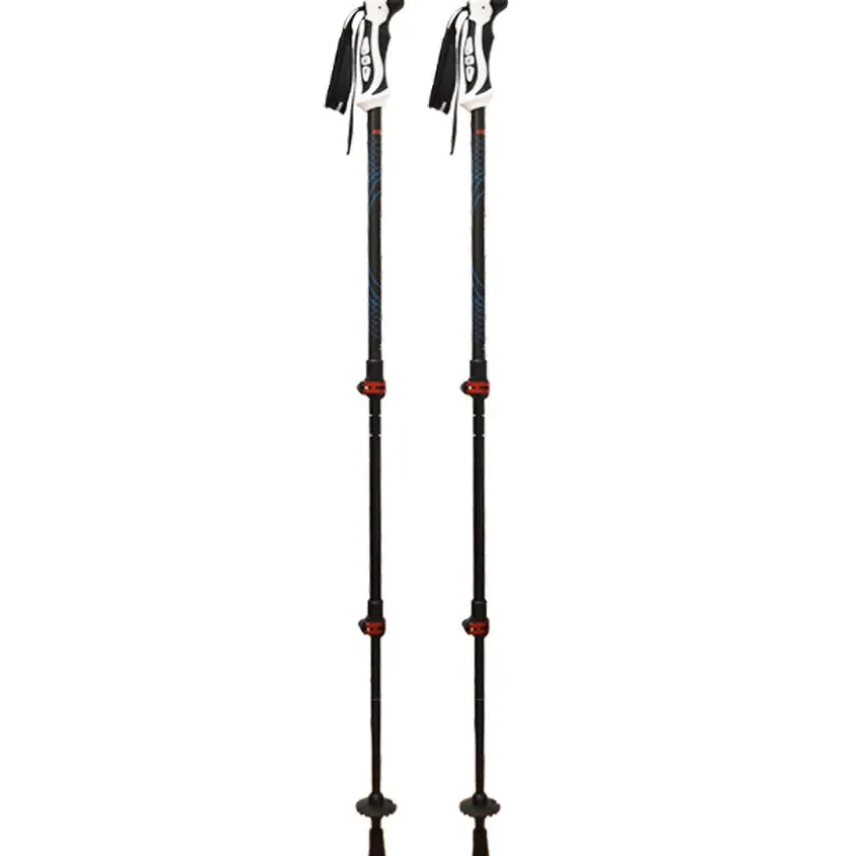Bastoncini Trek Evo
