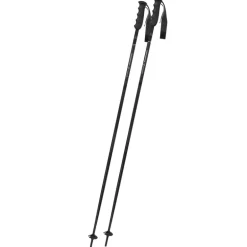 Bastoncini Victory TI