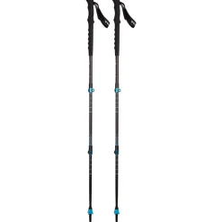 Bastoncino Backcountry GT