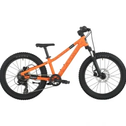 Bici bambino Roxter 200