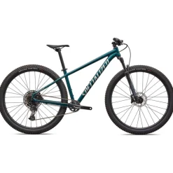 Bici Rockhopper Expert