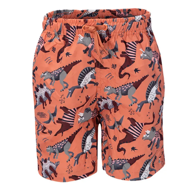 Boxer bambino little dinosauri