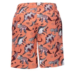 Boxer bambino little dinosauri