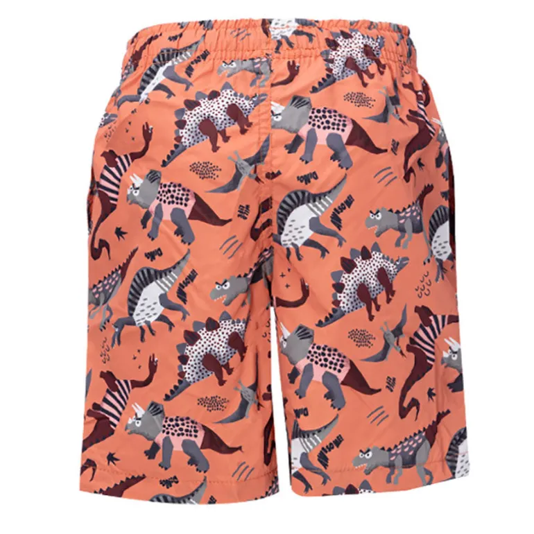 Boxer bambino little dinosauri