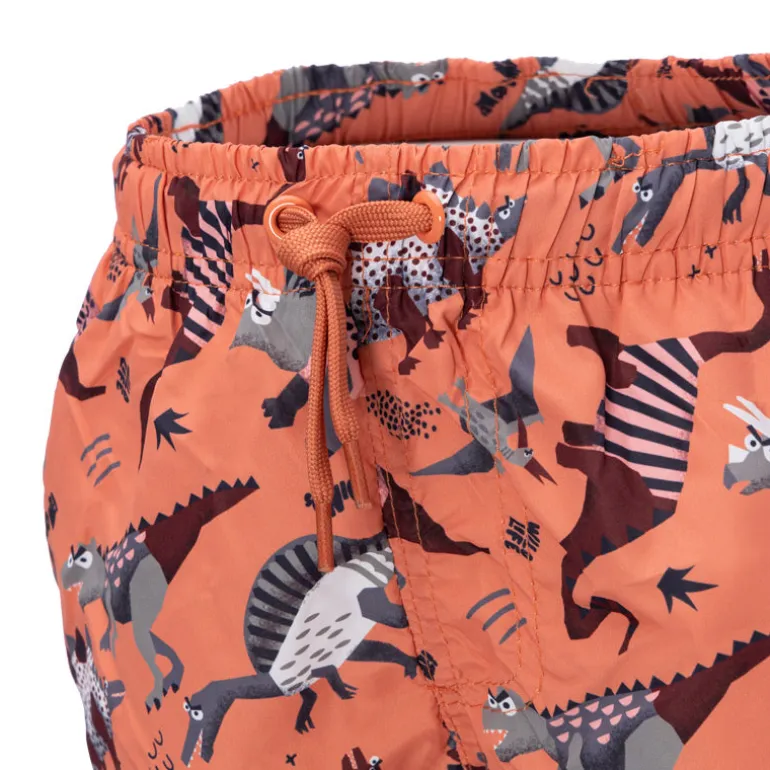Boxer bambino little dinosauri
