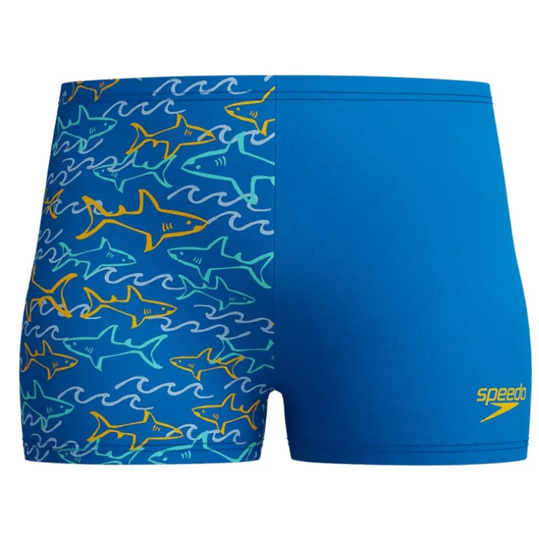 Boxer bambino little Learn to Swim