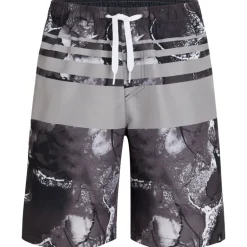 Boxer bambino marco