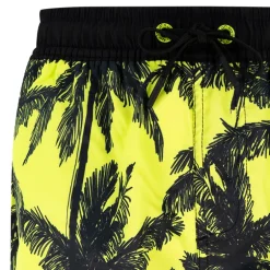 Boxer bambino Palme