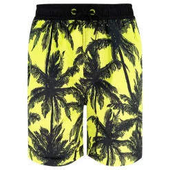 Boxer bambino Palme