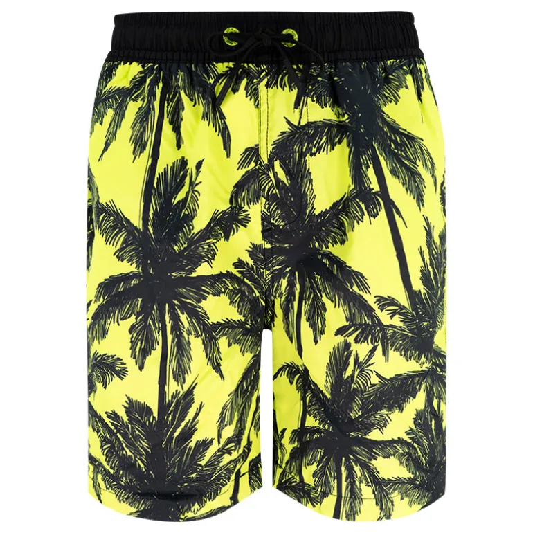 Boxer bambino Palme