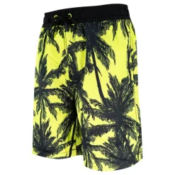 Boxer bambino Palme