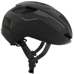 Casco Sintesi