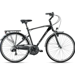 City Bike 220