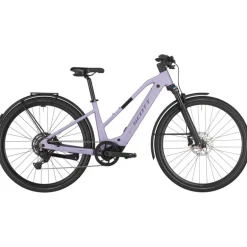 E-Bike Passage 30 Slope