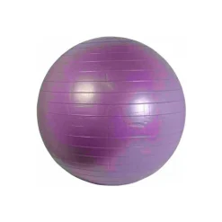 Gym Ball 55cm