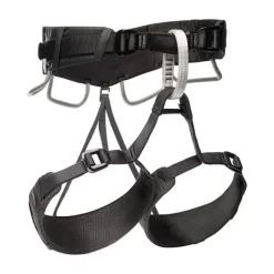 Imbrago Momentum 4S