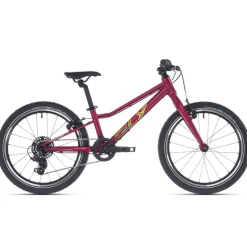 Mtb bambino F.L.Y. 20 VB