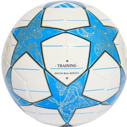 Pallone UCL Training 25/26