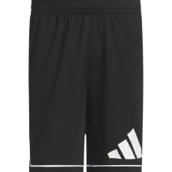Pantaloncino uomo Badge of Sport