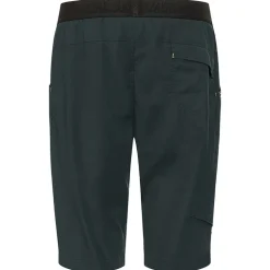 Pantaloncino uomo Pitch