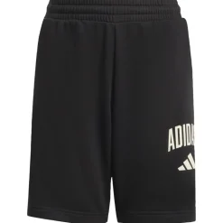 Pantaloncino uomo Seasonals Collegiate Typography