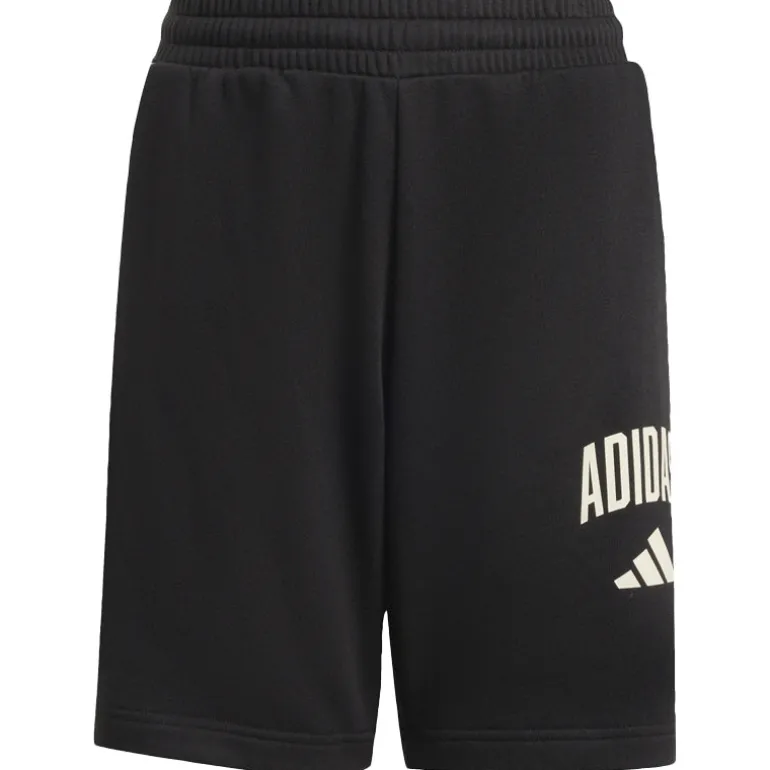Pantaloncino uomo Seasonals Collegiate Typography