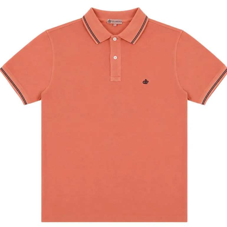 Polo uomo Terra