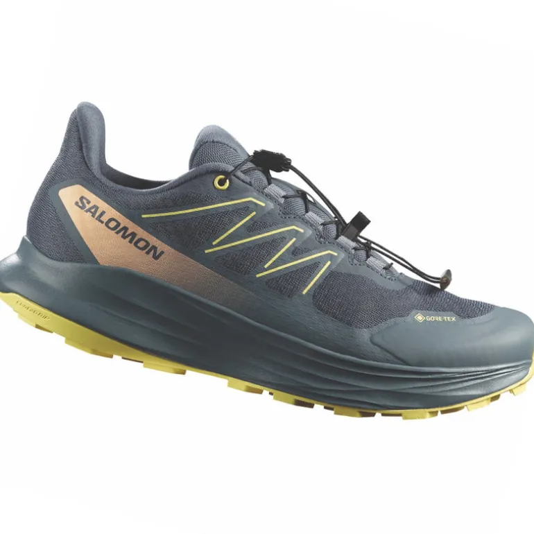 Scarpe donna Alpharide 2 GTX