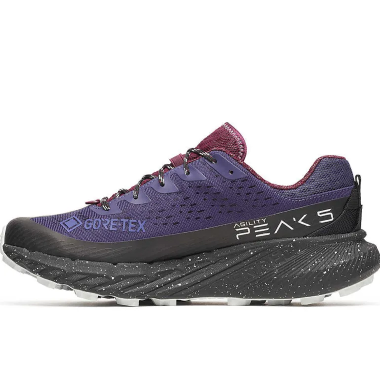 Scarpe uomo Agility Peak 5 GTX