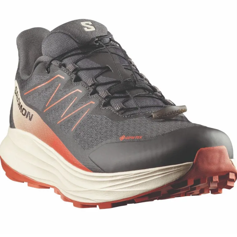 Scarpe uomo Alpharide 2 GTX