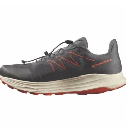 Scarpe uomo Alpharide 2 GTX