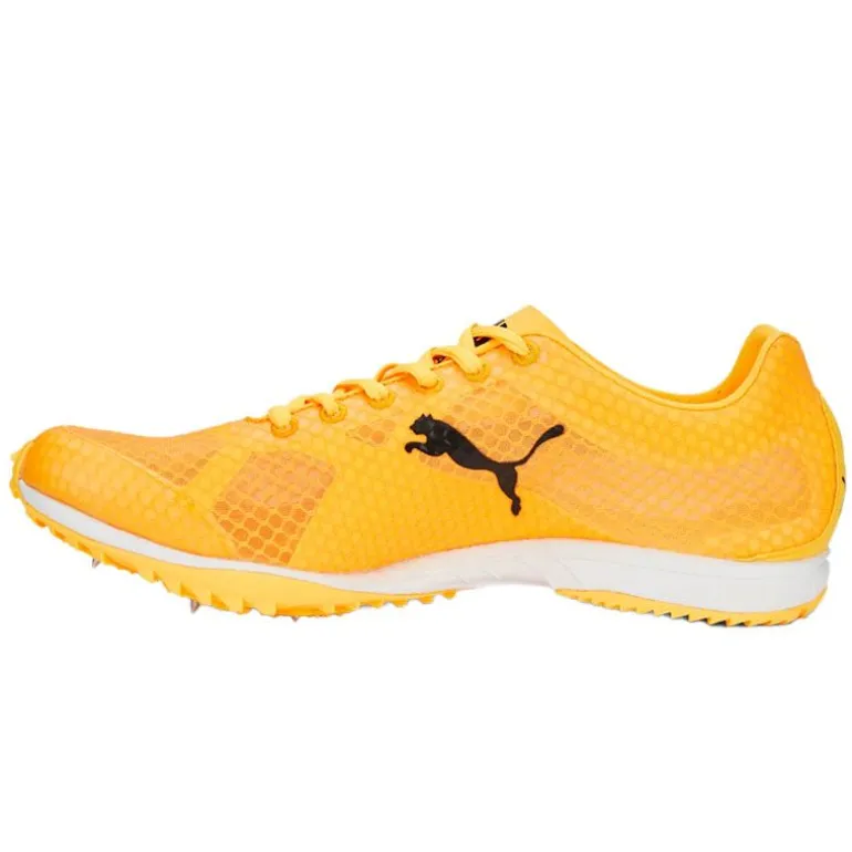 SCARPE UOMO EVOSPEED HARAKA 7