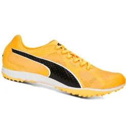 SCARPE UOMO EVOSPEED HARAKA 7
