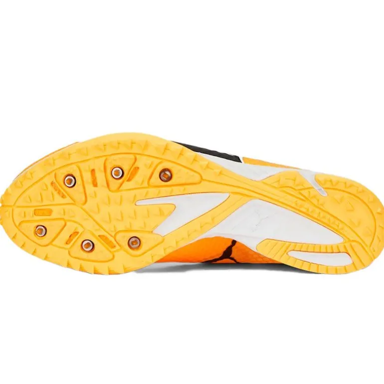 SCARPE UOMO EVOSPEED HARAKA 7