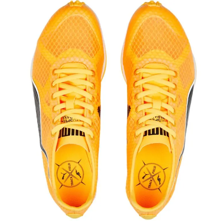 SCARPE UOMO EVOSPEED HARAKA 7