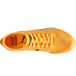 Scarpe uomo Evospeed Haraka 8
