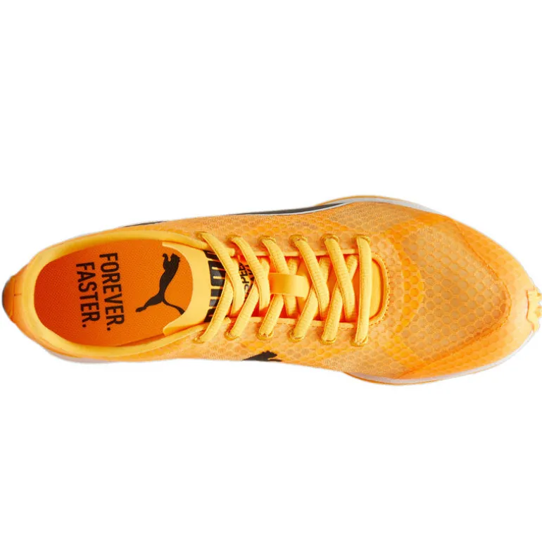 Scarpe uomo Evospeed Haraka 8