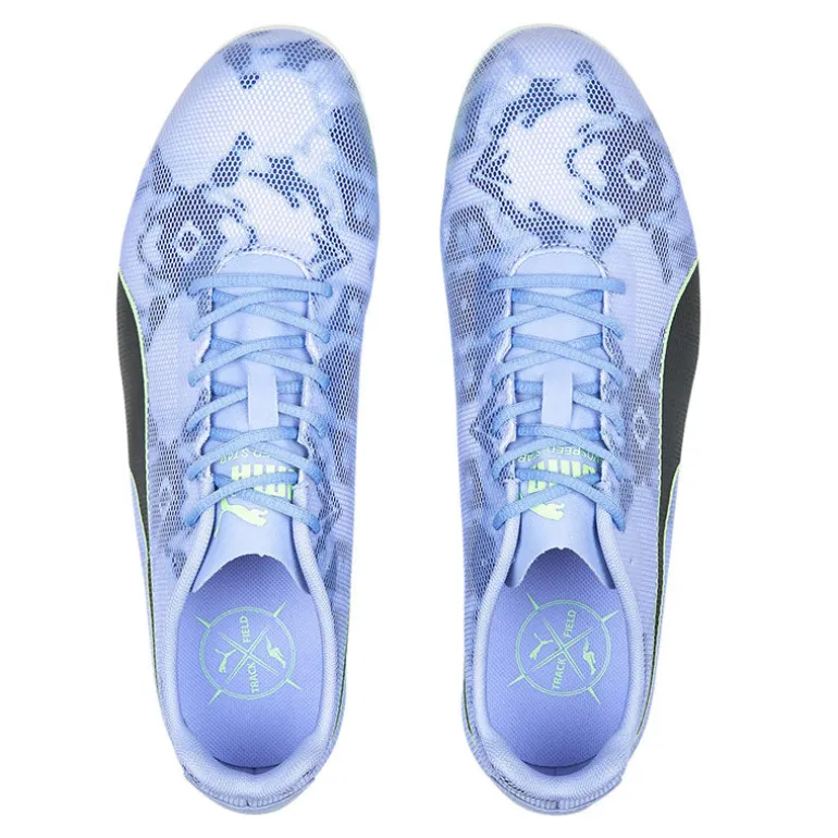 Scarpe uomo Evospeed Star 8