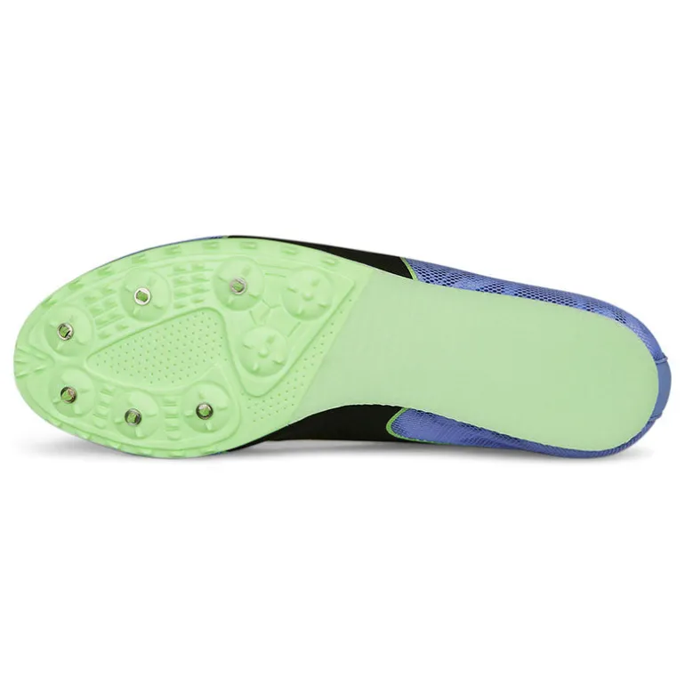 Scarpe uomo Evospeed Star 8
