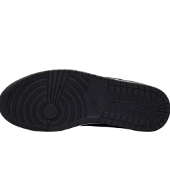 Scarpe uomo Jordan Court Connect Low