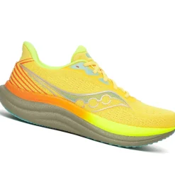 Scarpe uomo Triumph 23