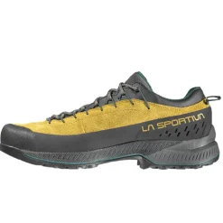 Scarpe uomo TX4 Evo GTX