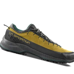 Scarpe uomo TX4 Evo GTX