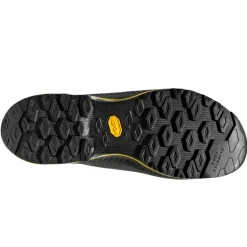 Scarpe uomo TX4 Evo GTX