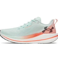 Scarpe uomo Velociti SPD