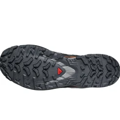 Scarpe uomo XA Pro 3D V9 GTX